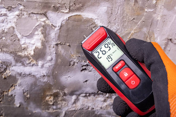 Best Mold Cleaning Services  in Magnolia, MS