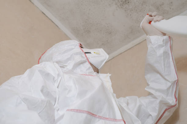 Best Office Mold Removal Services  in Magnolia, MS